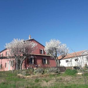 Casa Rosa Bed & Breakfast San Costanzo Exterior photo