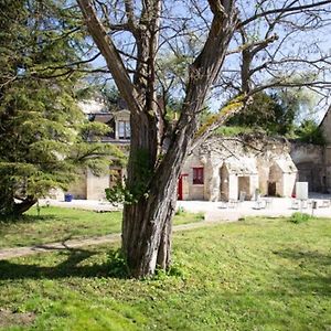 Cottage De La Tour - Duplex Troglodyte Of 100 M² Azay-le-Rideau Exterior photo