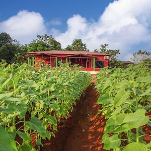 Aarya Farm Bed & Breakfast Bhom Exterior photo