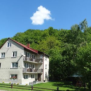 Dom Nad Potokiem - Pokoje Caloroczne Hotel Wolkowyja Exterior photo