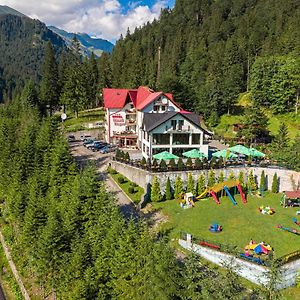 Piscul Negru Hotel - Transfagarasan Cumpana  Exterior photo