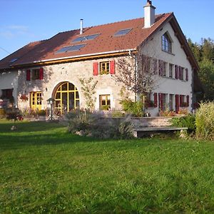 Ferme Merisier: Rustic Retreat with Private Pond in Mille Etangs Bed & Breakfast Faucogney-et-la-Mer Exterior photo