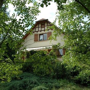 Chambre Et Table D'Hotes Du Chant Des Sources Bed & Breakfast Wangenbourg-Engenthal Exterior photo