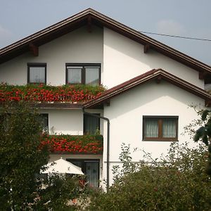 Haus Stuttgart Bed & Breakfast Obernberg am Inn Exterior photo