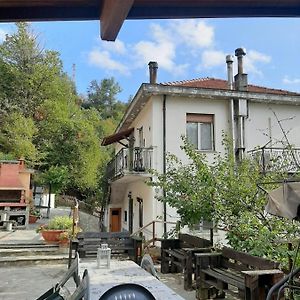 La Tana Dei Conigli Apartment Serra Ricco Exterior photo