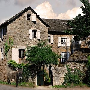 Maison D'Hotes La Singuliere Bed & Breakfast Severac-d'Aveyron Exterior photo