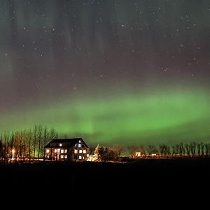 Guesthouse Bitra B&B Selfoss Exterior photo