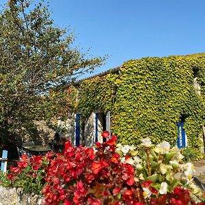 Un Gite Authentique A La Mer Villa Saint-Froult Exterior photo