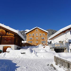 Apartment Feu De Joie By Interhome Disentis Exterior photo