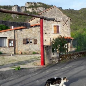 Les Tremieres Bed & Breakfast Saint-Paul-des-Fonts Exterior photo