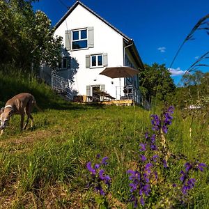 Bergblick Lodge: Ferienhaus mit Sauna und Panoramaterrassen Gerabronn Exterior photo