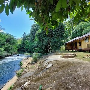 Khaosok Rainforest Resort Khao Sok National Park Exterior photo