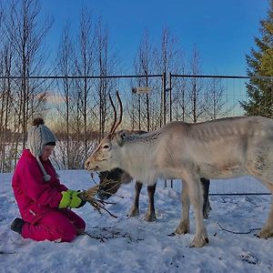 Beautiful Rural Experience With Reindeer Villa Tervola Exterior photo