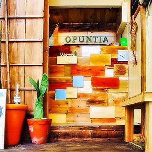 ゲストハウス オプンティア Guesthouse Opuntia Ishigaki  Exterior photo