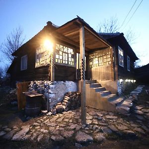 Casa Padureana - Log House From 1860 Villa Hunedoara Exterior photo