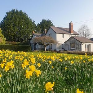 Lower House B&B Adforton Leintwardine Exterior photo