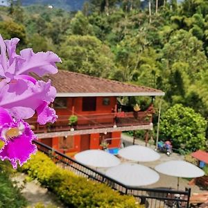 Hotel Orillas Del Pizano Jardin Exterior photo