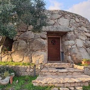 Il Nuraghe Del Lago Coghinas Bed & Breakfast Oschiri Exterior photo