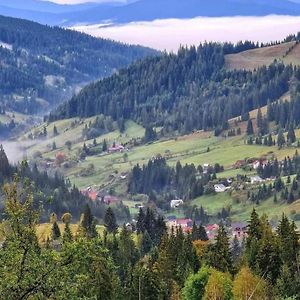 Pensiunea Casa Fierarul Din Bucovina Vatra Moldovitei Exterior photo