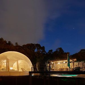 Bubblesky Glamping 15 Min From Medellin Hotel Rionegro Exterior photo