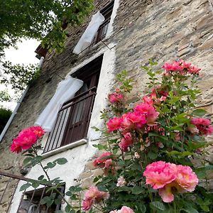 Orbregno Country Houses With Personal Wine Cellar Prasco Exterior photo