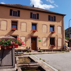 La Maison Du Vannier Bed & Breakfast Raon-les-Leau Exterior photo