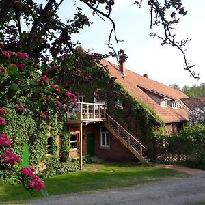 Schwalbennest Apartment Walsrode Exterior photo