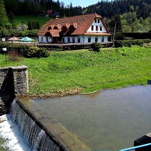 Penzion U Busu Hotel Mala Bystrice Exterior photo