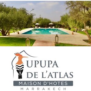 Upupa De L'Atlas Hotel Marrakesh Exterior photo