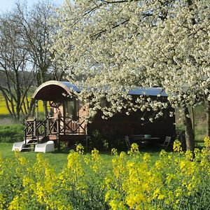 Roulotte Panoramique Du Moulin Bed & Breakfast Chatillon-sur-Marne Exterior photo