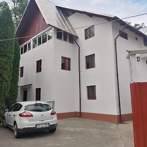 Pensiunea Fagaras Hotel Curtea De Arges Exterior photo