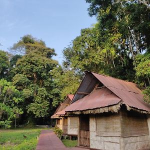 The Forest Elephant - Formerly Known As The Flying Elephant Villa Vijay Nagar Beach Exterior photo