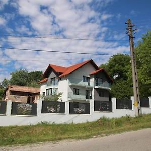 Pensiunea Albero Hotel Curtea De Arges Exterior photo