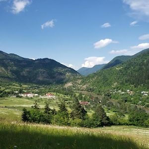 Strawberry Hotel Borjomi Exterior photo