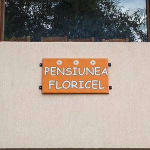 Pensiunea Floricel Hotel Stoenesti  Exterior photo