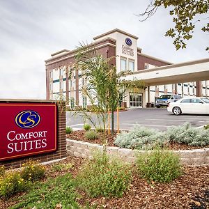 Comfort Suites Woodland - Sacramento Airport Exterior photo