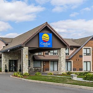 Quality Inn Barrie Exterior photo