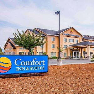 Comfort Inn & Suites Creswell Exterior photo