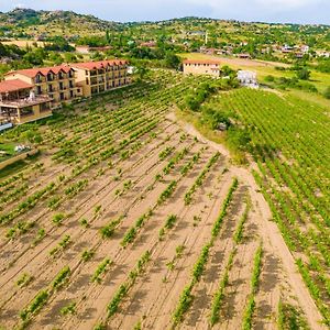 Dessera Vineyards Hotel Ahmetce  Exterior photo