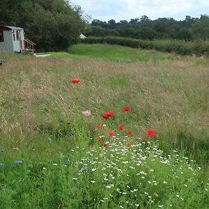 Little Idyll Shepherds Hut Villa Chester Exterior photo