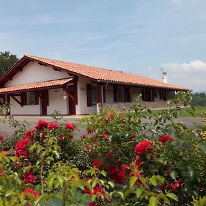 Chambres Zazpiak Saint-Jean-Pied-de-Port Exterior photo