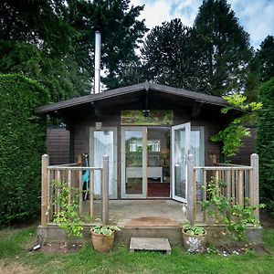 Tor Hatch Cabin Villa Gomshall Exterior photo