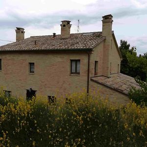 Agriturismo Campo Aperto Bed & Breakfast Belvedere Ostrense Exterior photo