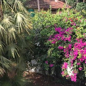 1 Bhk Luxury Beachside Homestay In South Goa Betalbatim Exterior photo