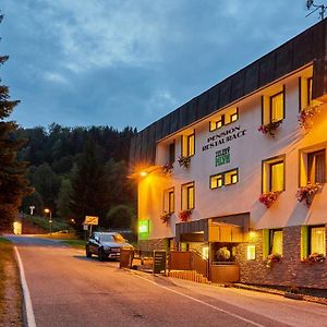 Pension & Restaurace Zeleny Mlyn Zacler Hotel Exterior photo