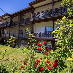 Ξενοδοχειο Παπαναγιωτου Hotel Neraidochori Exterior photo