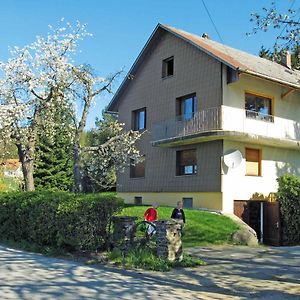 Haus Hollerbusch Apartment Neunburg vorm Wald Exterior photo