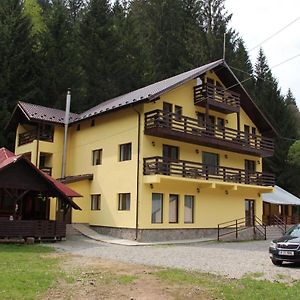 Complex Turistic Roua Muntilor Vila 1 Bed & Breakfast Podu Dimbovitei Exterior photo