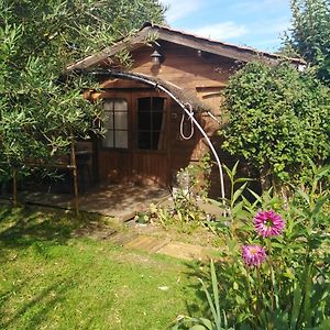 Le Chalet Du Jardin Cache Hotel Marmande Exterior photo