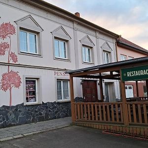 Pension Pavir Hotel Zidlochovice Exterior photo